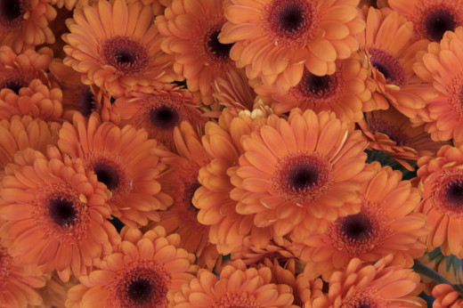 639669 (a): :1600x1063